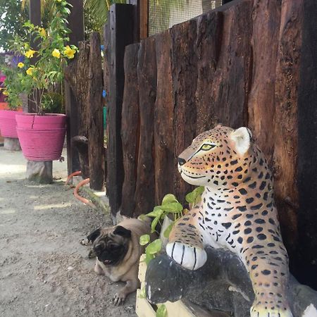 Hotel Hacienda La Catrina Holbox  Eksteriør bilde