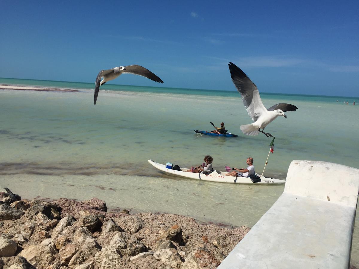 Hotel Hacienda La Catrina Holbox  Eksteriør bilde