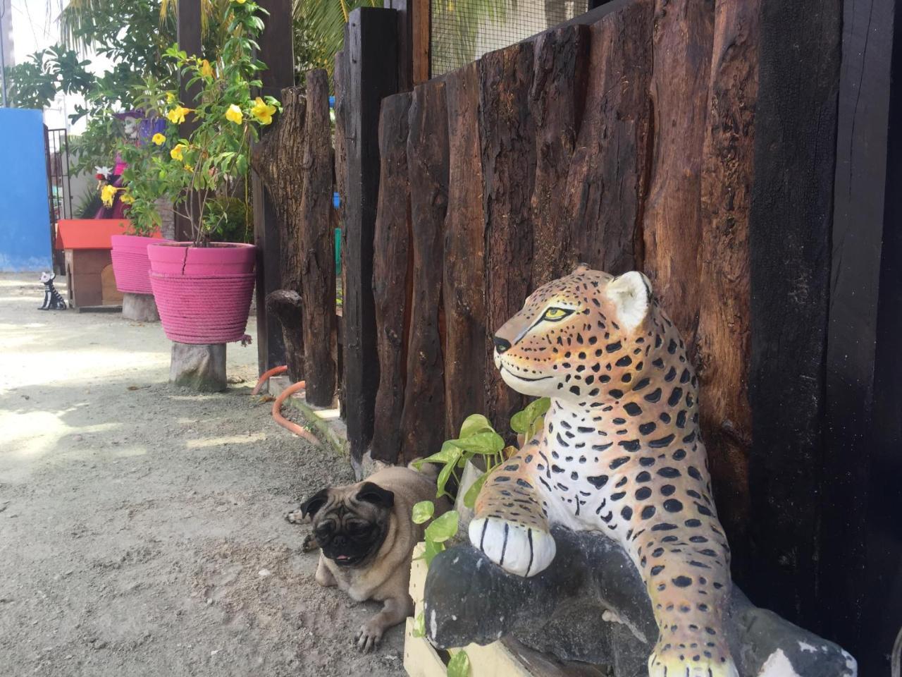 Hotel Hacienda La Catrina Holbox  Eksteriør bilde